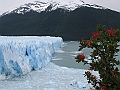 Patagonie 194